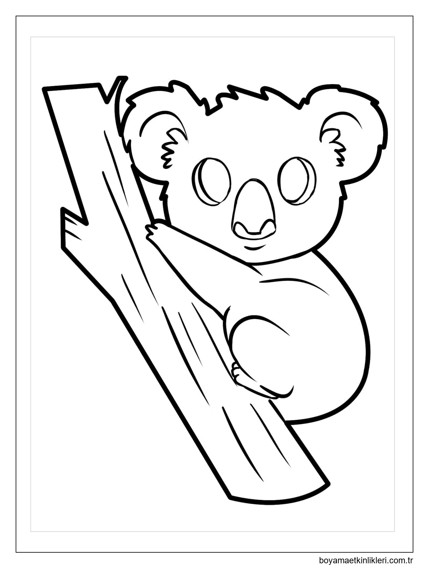 Şirin Koala