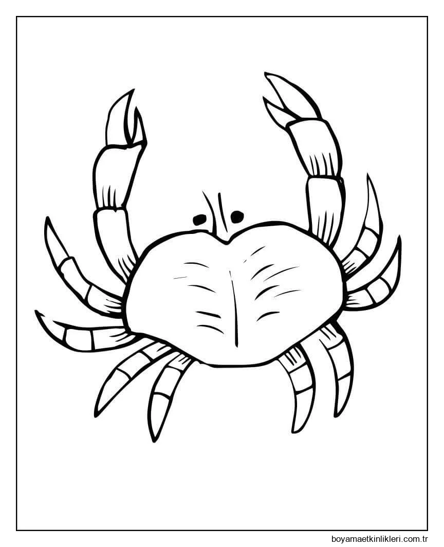 Yengeç Ücretsiz Resimler