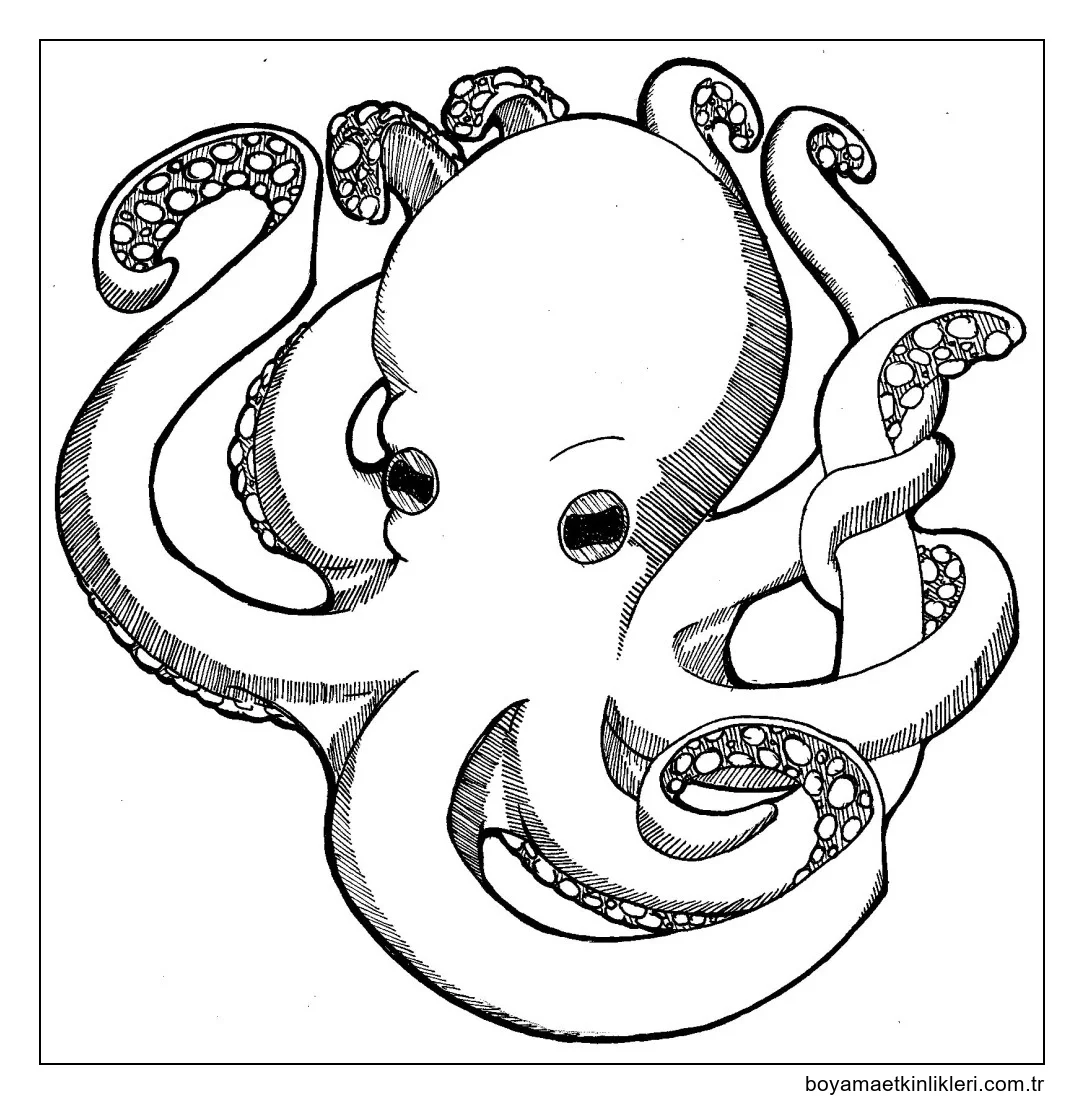 Ahtapot el çizmek