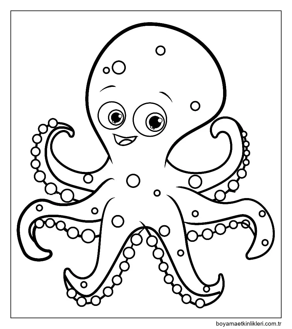 Ahtapot Ücretsiz Resimler