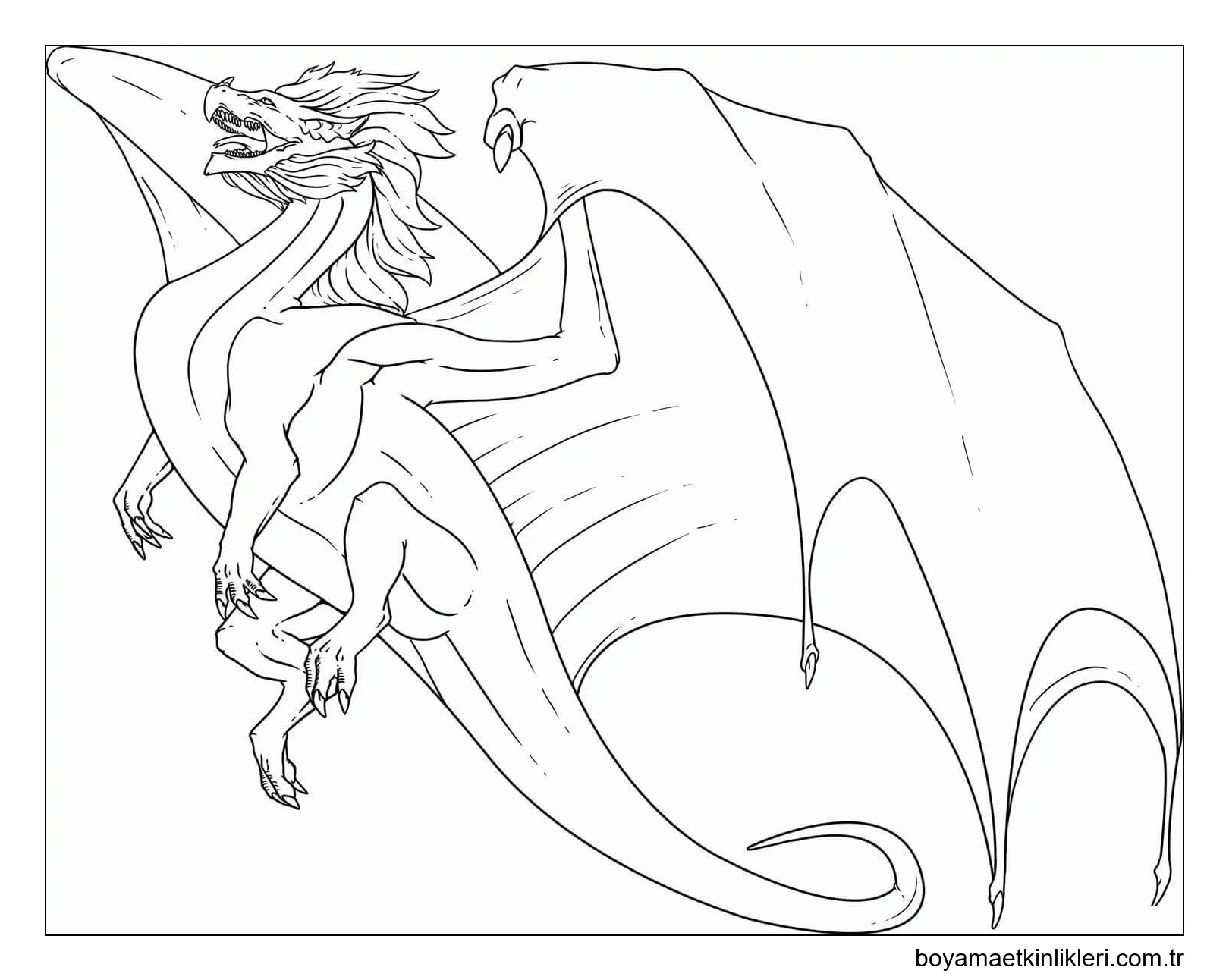 Büyük Ejderha Uçuyor