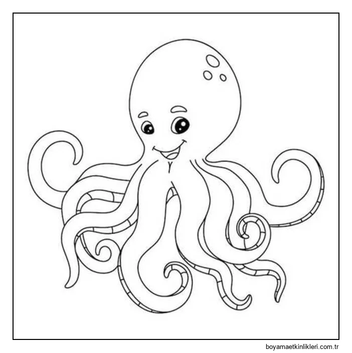 Çizmek Ahtapot 5